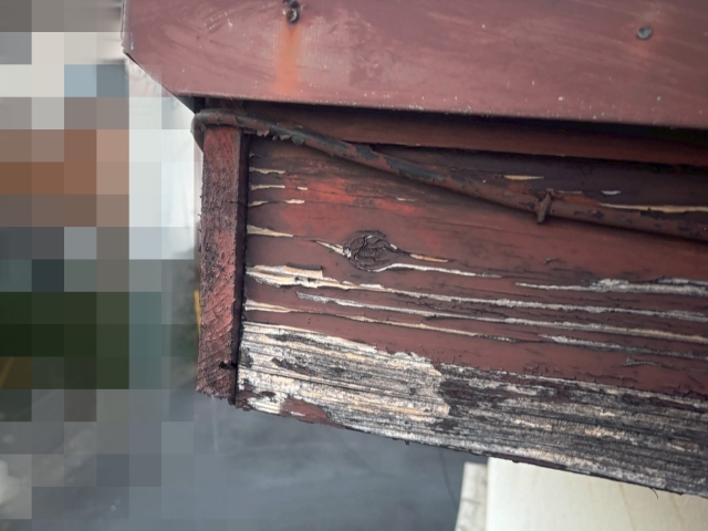 木製破風板の塗膜が剥がれ、木部が露出している様子を確認2